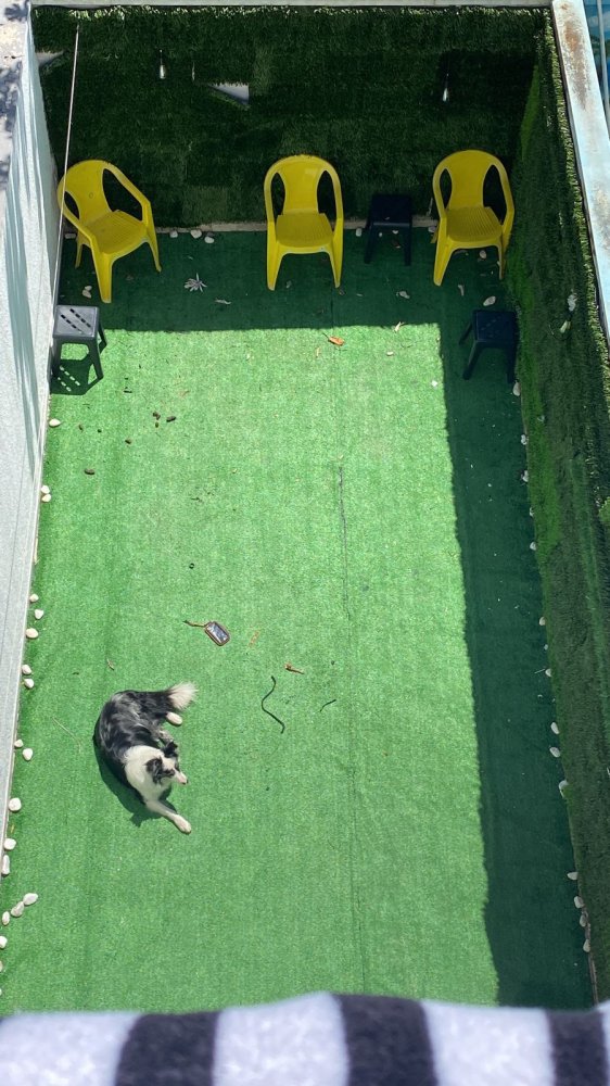 Casa - Aluguel - Jardim Imperador (zona Leste) - So Paulo - SP